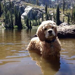 Meet your Posher, Nancy